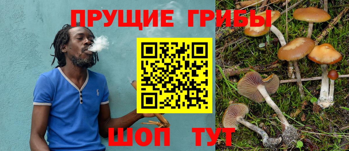 Псилоцибиновые грибы Cubensis  Псилоцибиновые грибы мухоморы  Курчатов  Вход с VPN 